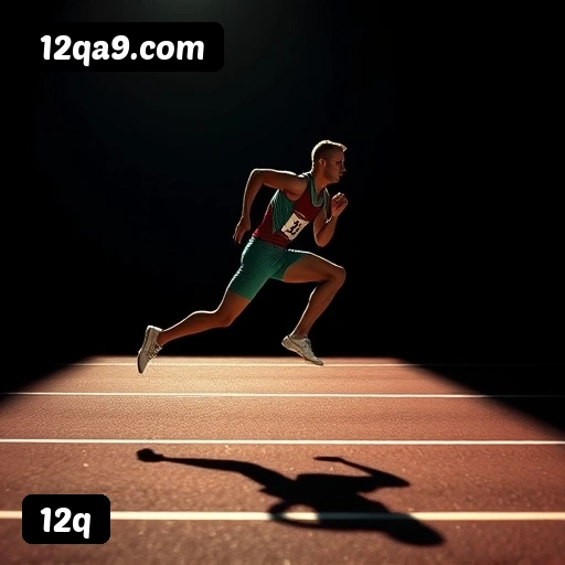 Níveis do programa VIP da 12q